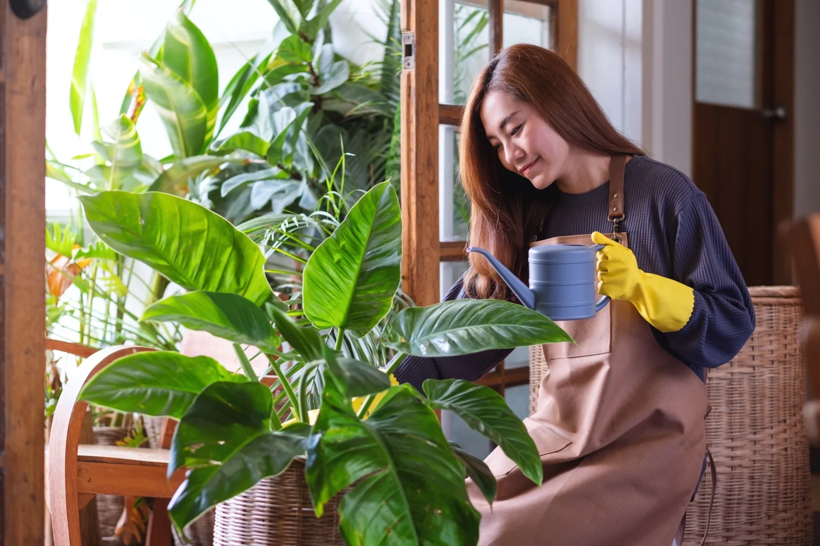 Tap Water vs Filtered Water for Plants: Does It Matter?