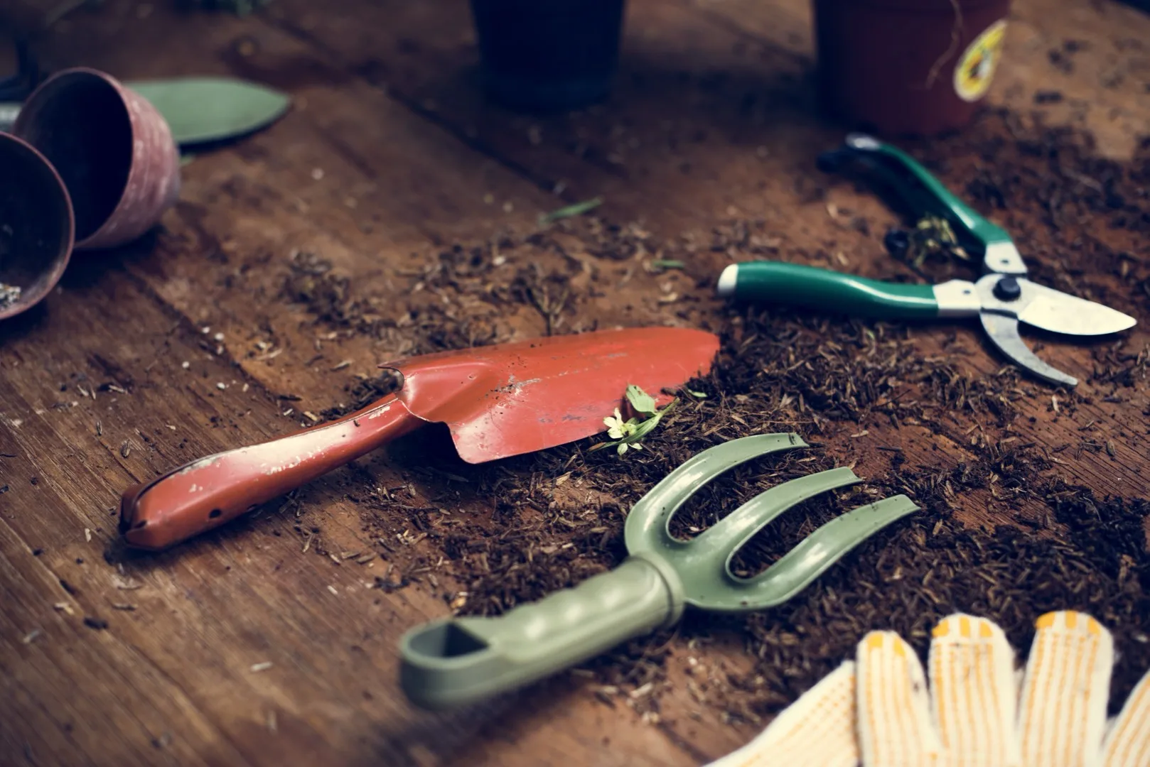 Coffee Grounds for Plants: Helpful or Harmful?
