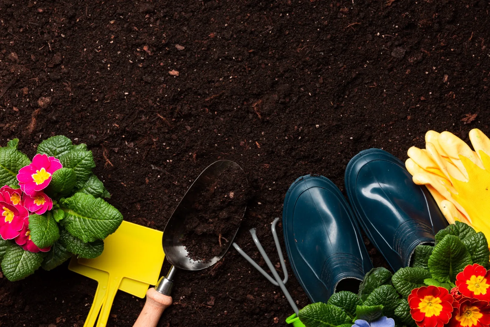 Spring Plant Care Checklist: Get Your Plants Ready to Grow